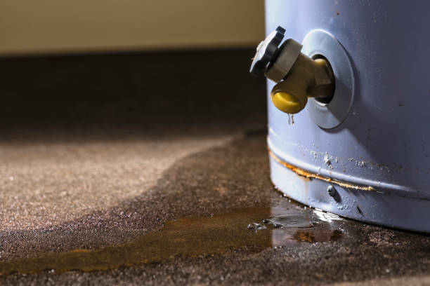 Best Water damage contractors near me  in Azusa, CA