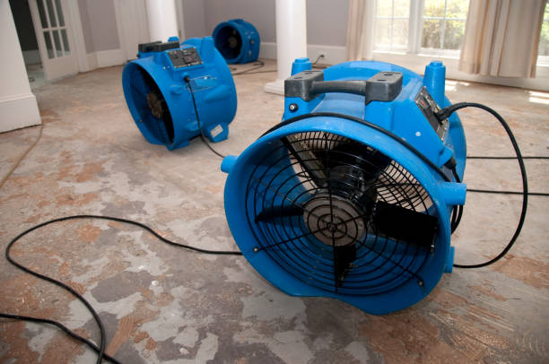 Best Mold removal after water damage  in Azusa, CA