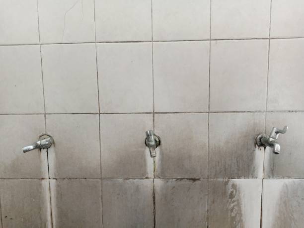 Best Professional water damage repair  in Azusa, CA
