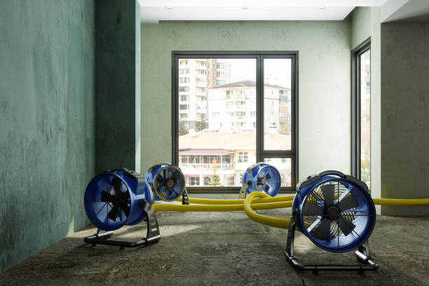 Best Water damage cleanup near me  in Azusa, CA